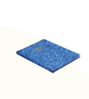 Deluxe Ruled Register 2QR 6x4" 