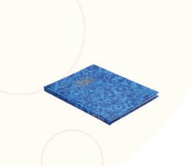 Deluxe Ruled Register 4QR 9x7" Size